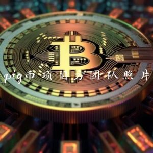 pig币项目方团队照片
