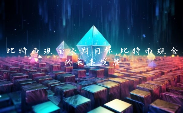 比特币现金长期目标,比特币现金的未来发展