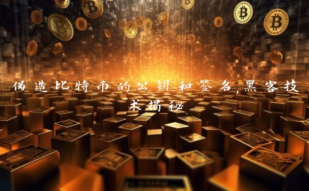 伪造比特币的公钥和签名,黑客技术揭秘