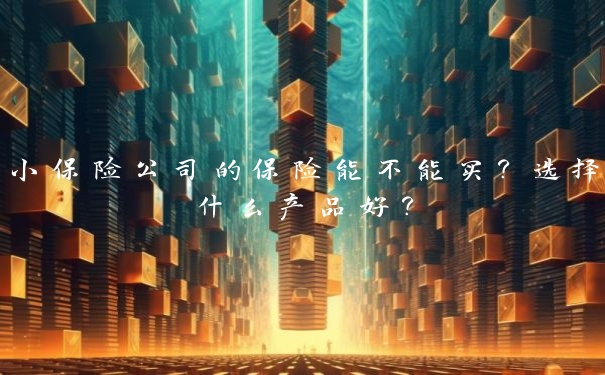 小保险公司的保险能不能买？选择什么产品好？