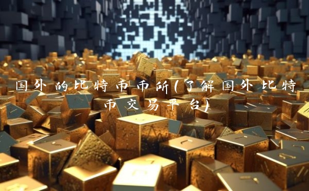 国外的比特币币所（了解国外比特币交易平台）