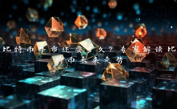 比特币牛市还要多久？专家解读比特币未来走势