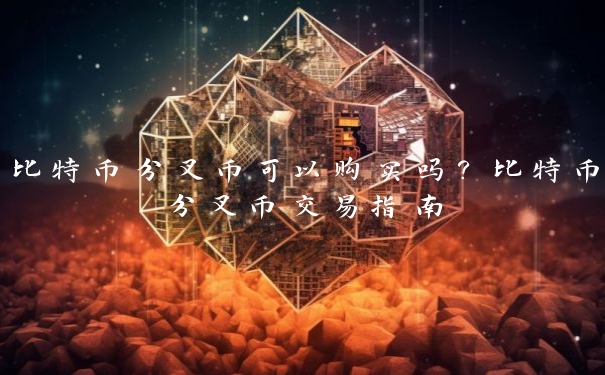 比特币分叉币可以购买吗？比特币分叉币交易指南