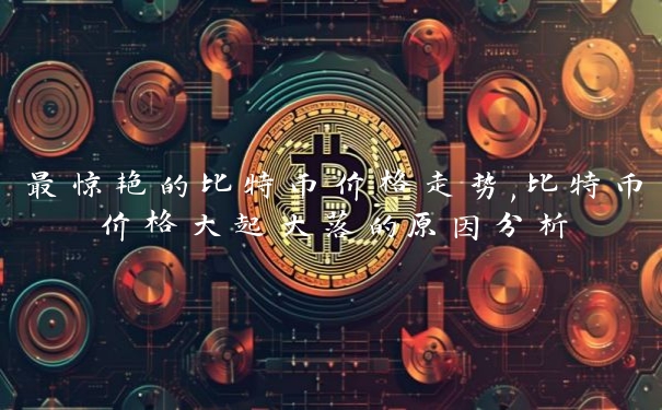 最惊艳的比特币价格走势,比特币价格大起大落的原因分析
