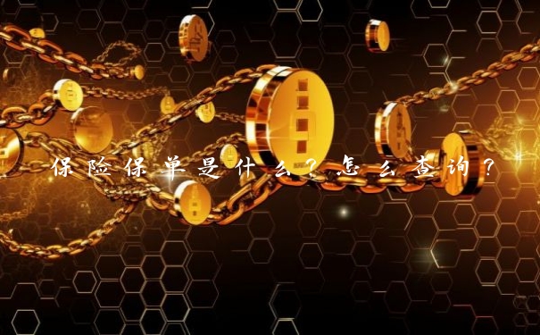 保险保单是什么？怎么查询？