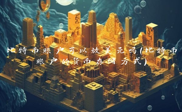 比特币账户可以放美元吗（比特币账户的货币存储方式）