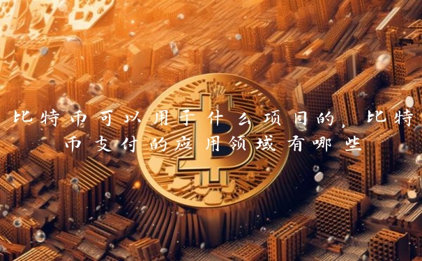比特币可以用于什么项目的，比特币支付的应用领域有哪些