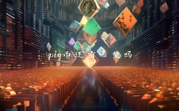 pig币还有希望吗