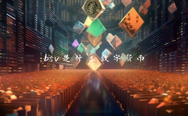 bsv是什么数字货币